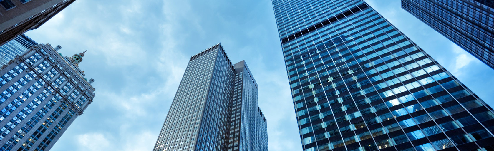 Home Page NYC Photo Lion Cao Asset Management has offices in New York and San Francisco